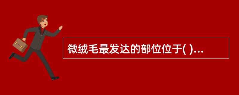 微绒毛最发达的部位位于( )。A、远直小管B、近曲小管C、近直小管D、远曲小管E