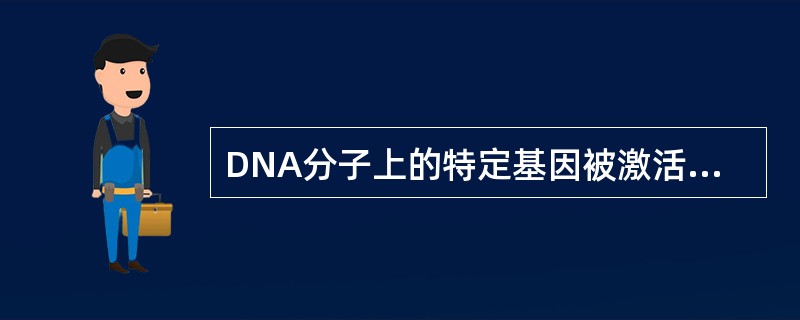 DNA分子上的特定基因被激活并转录生成RNA或者由此引起蛋白质的合成过程