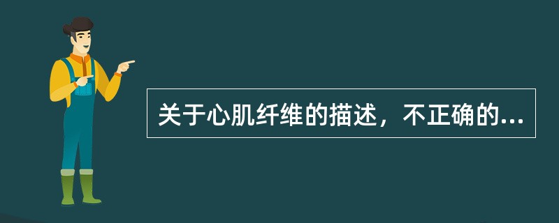 关于心肌纤维的描述，不正确的是( )。A、肌原纤维较骨骼肌多B、两条心肌纤维相连