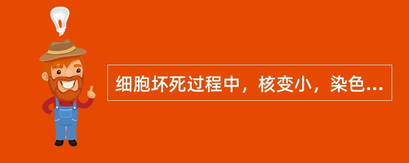 细胞坏死过程中，核变小，染色质浓染标志为A、核内包涵体B、核固缩C、核溶解D、核