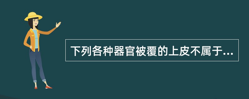 下列各种器官被覆的上皮不属于柱状上皮的是A、鼻腔B、支气管C、小肠D、气管E、阴