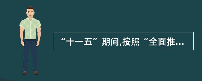 “十一五”期间,按照“全面推进、突出重点”的原则,着力抓好( )的节能环保工作