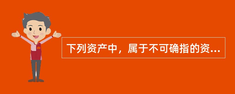 下列资产中，属于不可确指的资产的是（）。