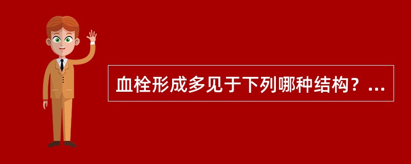 血栓形成多见于下列哪种结构？( )A、肱静脉B、股动脉C、股静脉D、右心房E、下