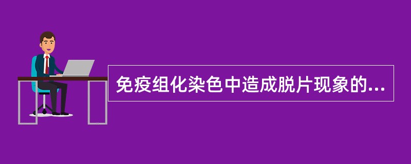 免疫组化染色中造成脱片现象的最主要原因是A、免疫试剂不纯B、常规洗涤C、底物显色