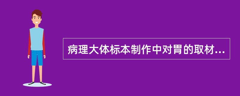 病理大体标本制作中对胃的取材，错误的是( )。A、按胃的自然形状用大头针沿其边缘