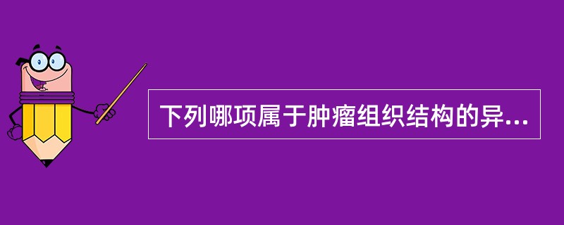 下列哪项属于肿瘤组织结构的异型性？( )A、核畸形，核仁大，核膜增厚B、瘤细胞大