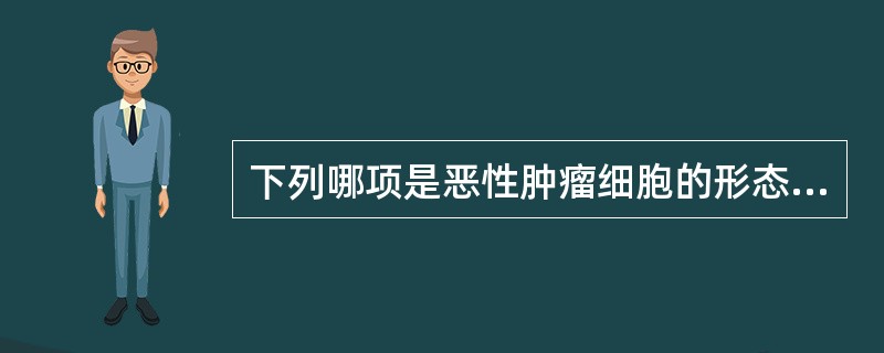 下列哪项是恶性肿瘤细胞的形态特点A、核大B、出现病理性核分裂C、核仁大D、多核E