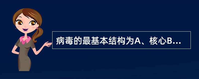 病毒的最基本结构为A、核心B、衣壳C、包膜D、核衣壳E、刺突