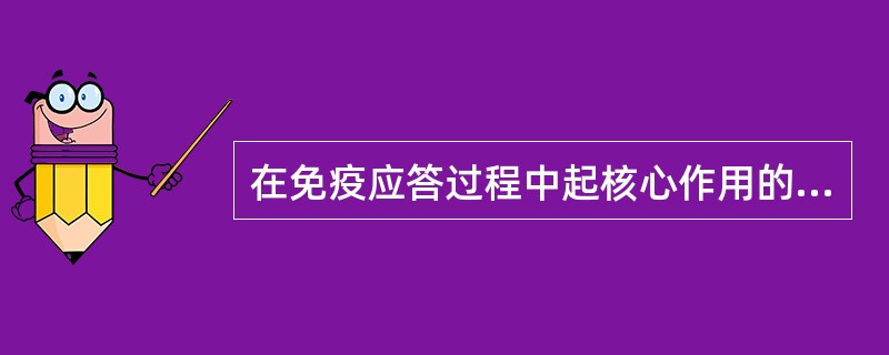 在免疫应答过程中起核心作用的是A、中性粒细胞B、嗜酸性粒细胞C、单核细胞D、嗜碱