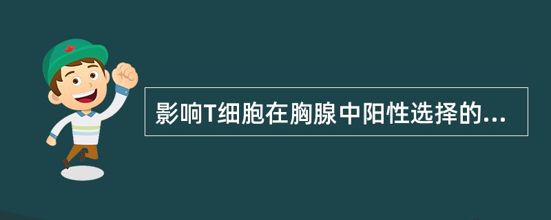 影响T细胞在胸腺中阳性选择的因素是( )。A、自身抗原B、细胞因子C、MHC分子