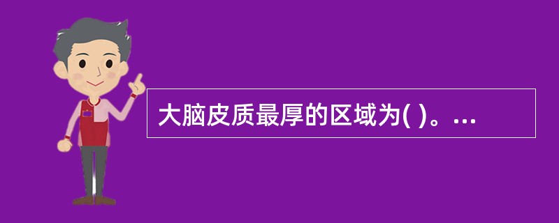 大脑皮质最厚的区域为( )。A、视区B、中央前回运动区C、中央后回感觉区D、听区