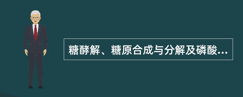 糖酵解、糖原合成与分解及磷酸戊糖途径的交叉点是( )。A、3£­磷酸甘油醛B、1