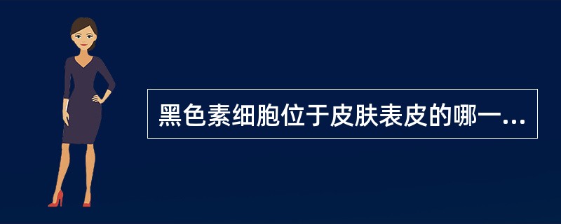 黑色素细胞位于皮肤表皮的哪一层A、角化层B、棘细胞层C、颗粒层D、基底层E、浆膜