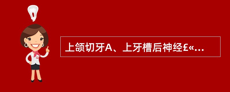 上颌切牙A、上牙槽后神经£«腭前神经 B、下牙槽神经£«颊长神£«舌神经C、上牙