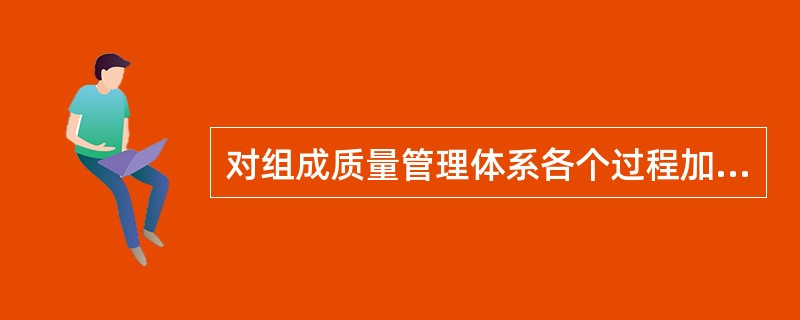 对组成质量管理体系各个过程加以识别、理解和管理的质量管理原则是（）。