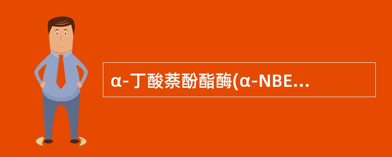 α-丁酸萘酚酯酶(α-NBE)染色可呈阳性的有()