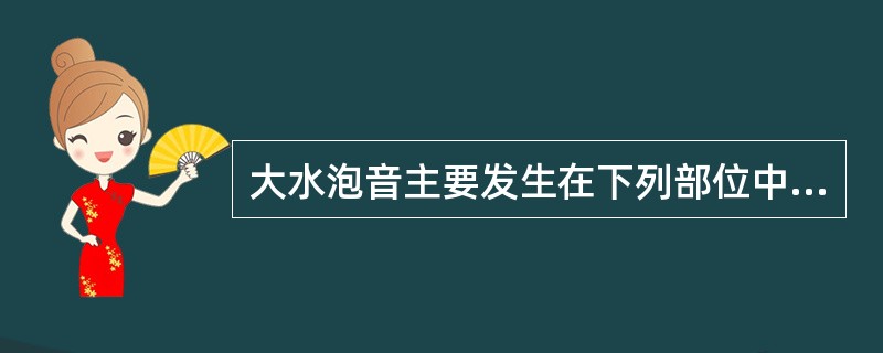 大水泡音主要发生在下列部位中的（）。