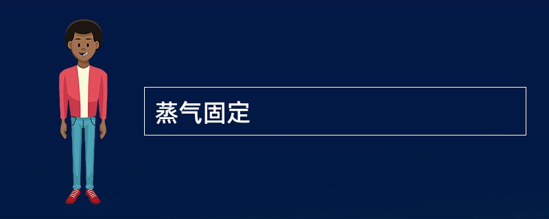 蒸气固定