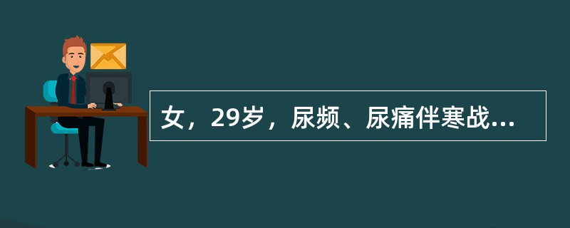 女，29岁，尿频、尿痛伴寒战高热3天。尿检：白细胞（+++），结合所示图像，最可