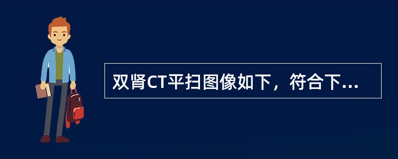 双肾CT平扫图像如下，符合下列何种疾病（）