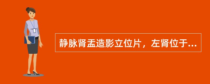 静脉肾盂造影立位片，左肾位于盆腔内，可上下移动，左侧输尿管长度与右侧相仿，应诊断