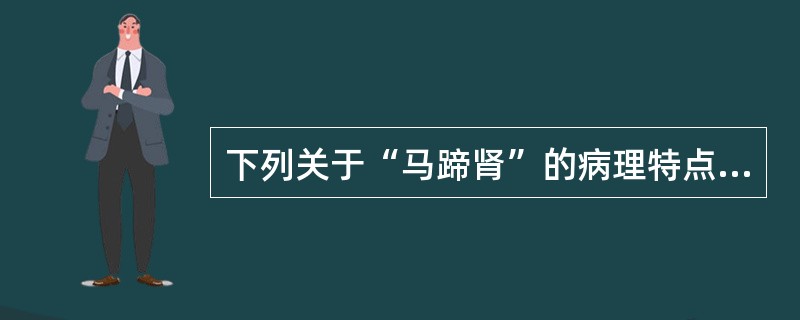 下列关于“马蹄肾”的病理特点，错误的是（）