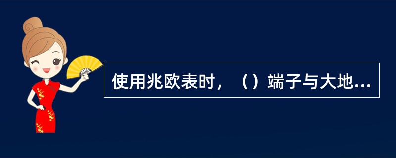 使用兆欧表时，（）端子与大地应相接。