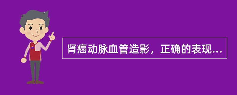 肾癌动脉血管造影，正确的表现是（）