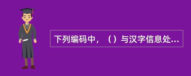 下列编码中，（）与汉字信息处理无关。
