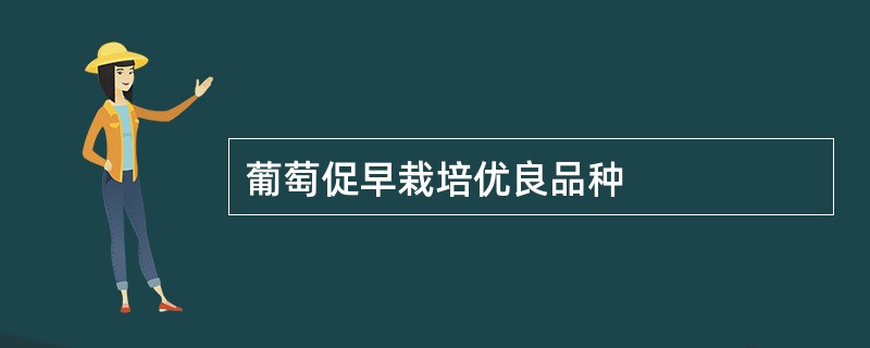 葡萄促早栽培优良品种