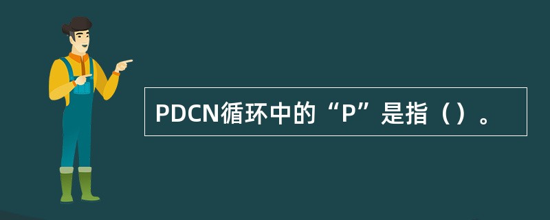 PDCN循环中的“P”是指（）。