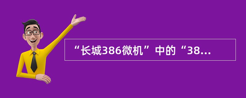 “长城386微机”中的“386”指的是（）。