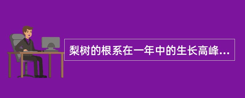 梨树的根系在一年中的生长高峰有（）