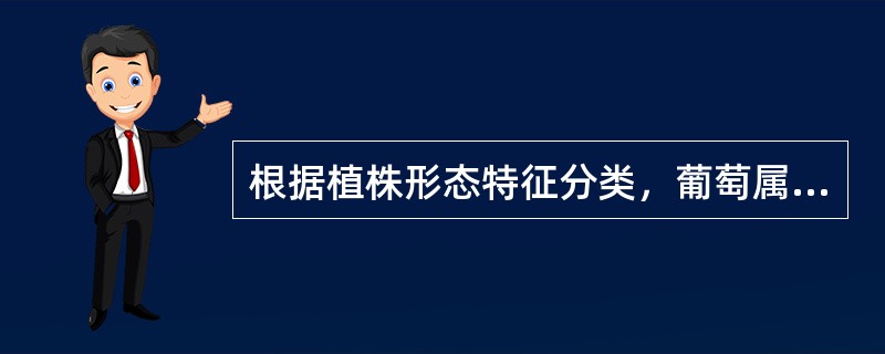 根据植株形态特征分类，葡萄属于（）果树，梨属于（）果树，草莓属于（）果树。