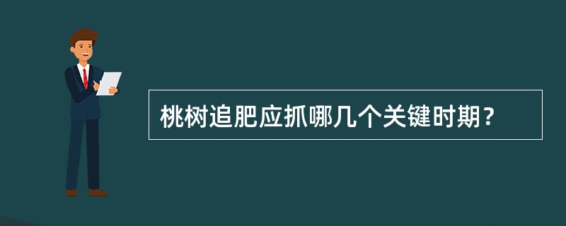 桃树追肥应抓哪几个关键时期？