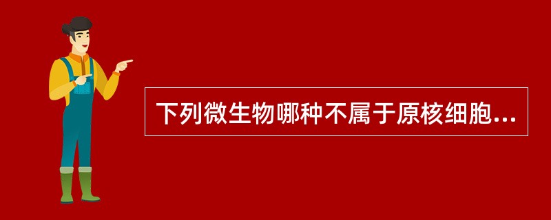 下列微生物哪种不属于原核细胞型（）