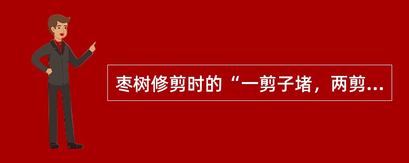 枣树修剪时的“一剪子堵，两剪子出”是指短截（）。