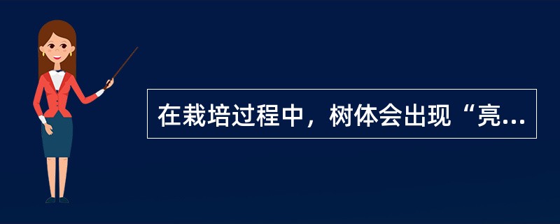 在栽培过程中，树体会出现“亮叶期”的是（）