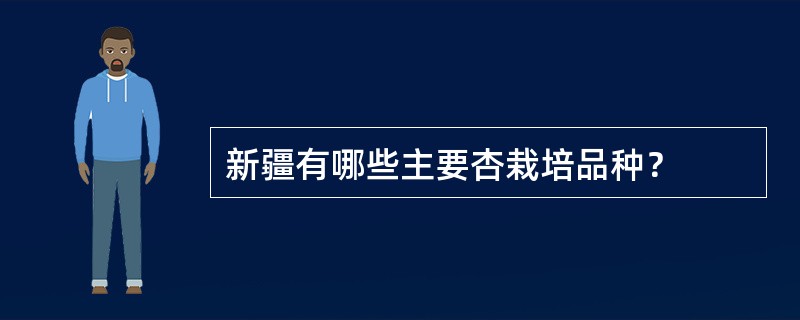 新疆有哪些主要杏栽培品种？