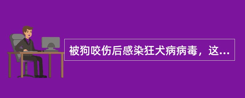 被狗咬伤后感染狂犬病病毒，这是经（）