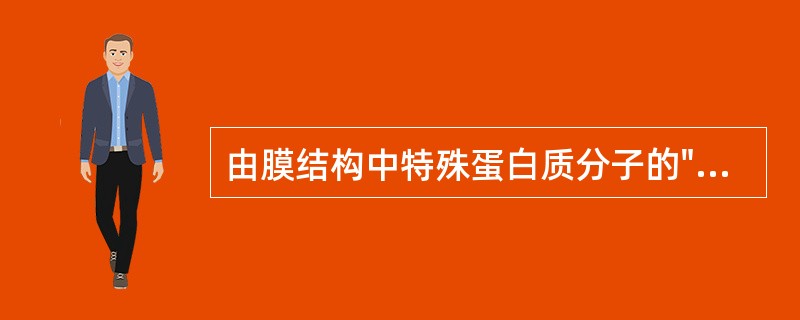 由膜结构中特殊蛋白质分子的"协助"下完成物质转移的过程是（）