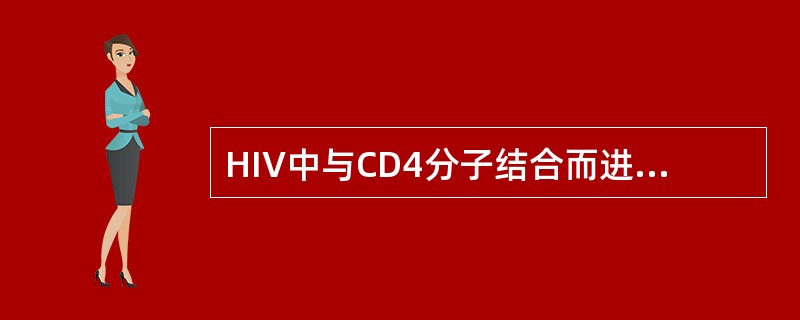 HIV中与CD4分子结合而进入靶细胞的成分是（）