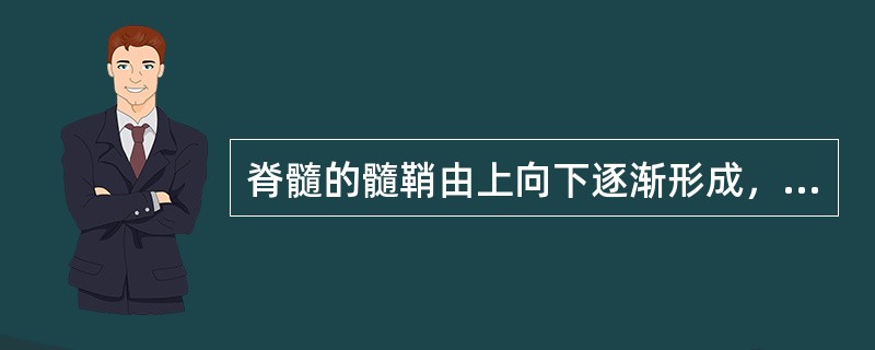 脊髓的髓鞘由上向下逐渐形成，为其成熟的重要标志，下列说法不正确的是（）