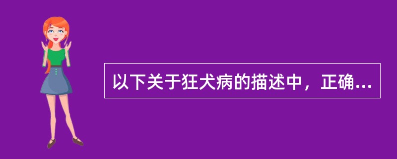 以下关于狂犬病的描述中，正确的是（）