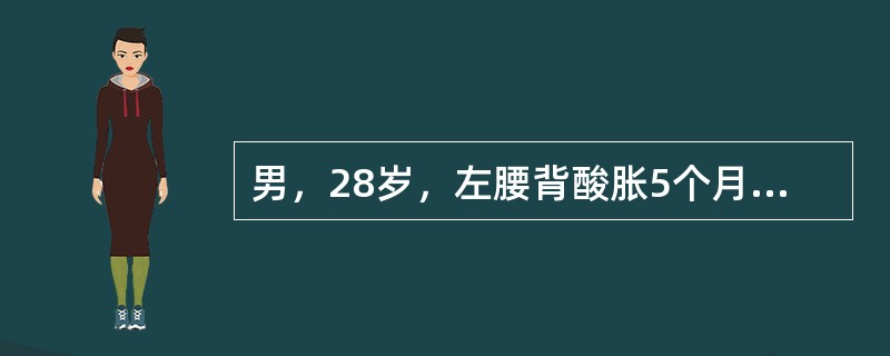 男，28岁，左腰背酸胀5个月，CT检查如图所示，应诊断为()