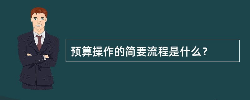 预算操作的简要流程是什么？