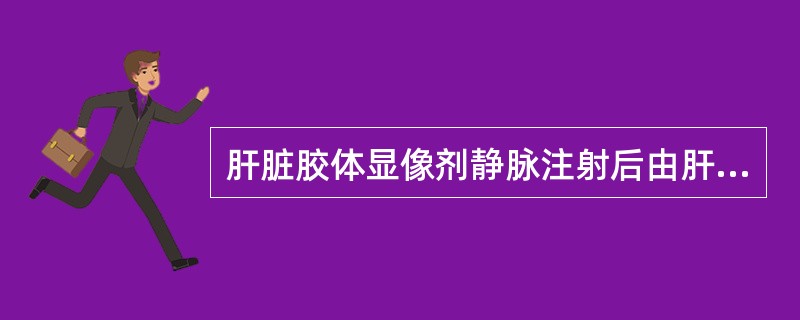 肝脏胶体显像剂静脉注射后由肝内下列哪种细胞摄取而显影()