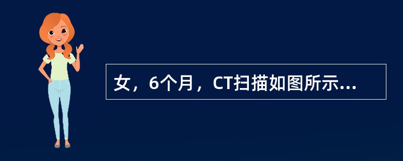 女，6个月，CT扫描如图所示，下列说法正确的是()