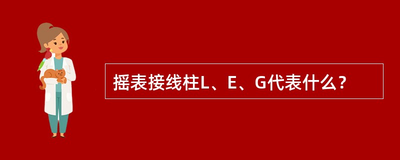 摇表接线柱L、E、G代表什么？